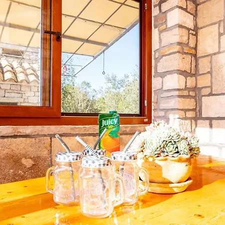Alpesi faház Eco House Cive