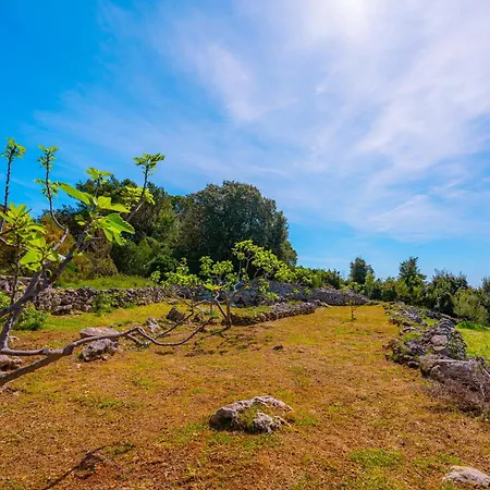 Chalet Eco House Cive *