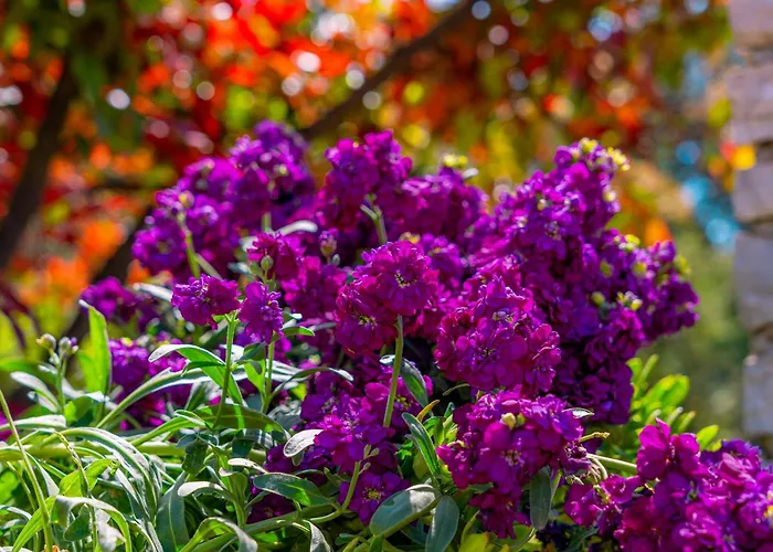 Eco House Cive Korčula