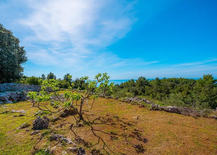 Eco House Cive * Korčula